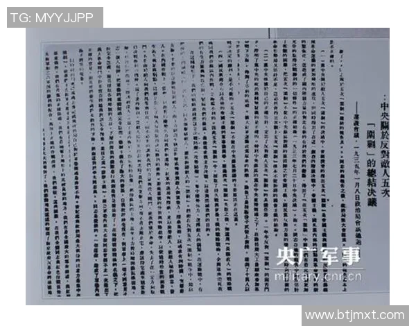 广州排球队阵地战打法深度分析与战术解读