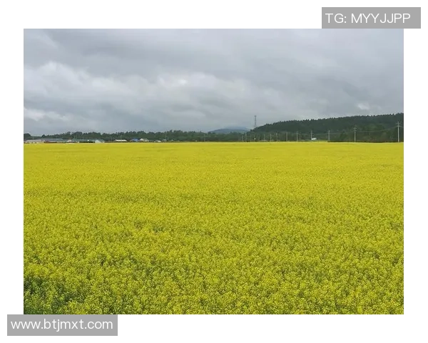 韦德与足球明星的跨界合作与友谊探索之旅 韦德与足球明星的跨界合作与友谊探索之旅